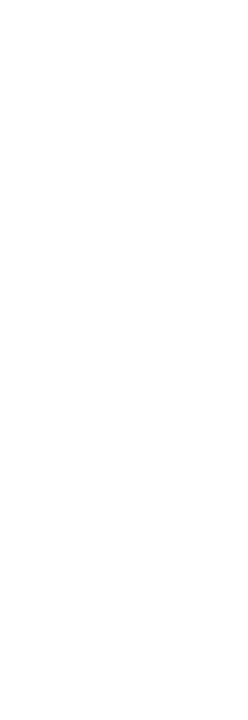 Surfboard with a pine tree
