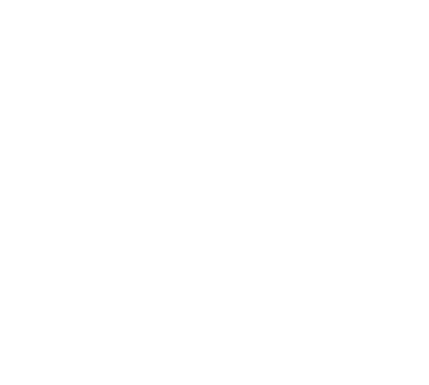 Stormsurfers ship emblem: No prey, no play. Aye aye matey!